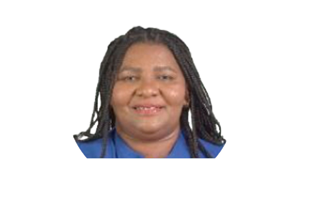 Elcilene Pinheiro Pereira dos Santos